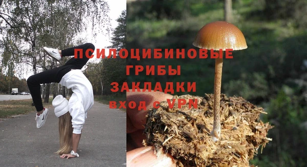 бошки Покачи