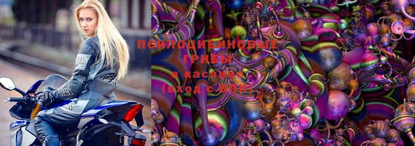 ешки Гатчина