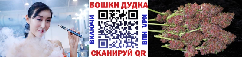 дарнет шоп  Судогда  Бошки марихуана конопля 